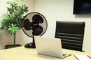 PRO ELEC PEL01921 Fan, Desk, 304.8 mm x 490 mm, 35 W, 240 VAC, UK