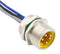 BULGIN LIMITED PXMBNI78FPM05AFL78005 Sensor Cable, 7/8" Plug, Free End, 5 Positions, 500 mm, 19.7 ", Buccaneer 7/8" Series