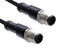 AMPHENOL LTW M12D04ML-12DML-SD002 Sensor Cable, M12 Plug, M12 Plug, 4 Positions, 2 m, 6.5 ft, M Series