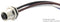 AMPHENOL LTW M12S-04PMMS-SF8B15 Sensor Cable, M12 Plug, Free End, 4 Positions, 150 mm, 5.9 ", M Series