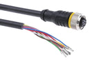 TURCK RKC8T-2/TXL Sensor Cable, A Coded, M12 Receptacle, Free End, 8 Positions, 2 m, 6.6 ft