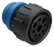 AMPHENOL SINE/TUCHEL AHDP06-24-09SR-STA 9 POSITION PLUG, SOCKET, SHELL SIZE 24, REDUCED DIAMETER SEAL (BLUE), SMALL THREAD ADAPTER 86AK2807