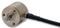 KUEBLER 05.2400.1122.0050 Rotary Encoder, Optical, Incremental, 50 PPR, Vertical, Without Push Switch