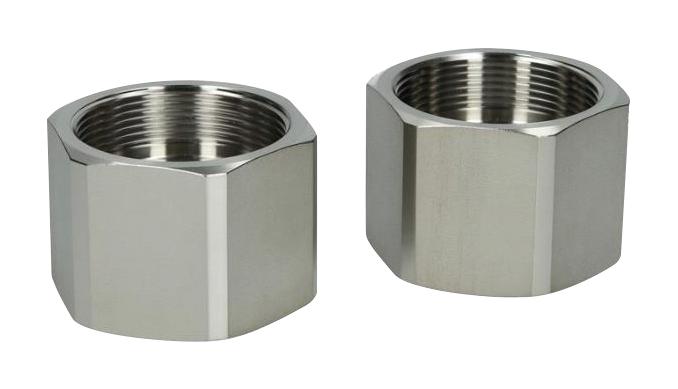 ENDRESS+HAUSER 71355718 Adaptor Set, Electromagnetic Flowmeters, G2" to G2" Female Thread, Picomag IO-Link Series