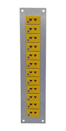 LABFACILITY AM-K-FF + FMP-12 Thermocouple Connector, 45 x 205mm Panel, Miniature, K, Socket, 12Way, Yellow, ANSI, Fascia Mount