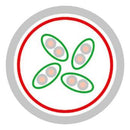 Multicomp PRO MP001960 MP001960 Ethernet Cable S/FTP Lsoh Cat6 RJ45 Plug to Sftp (Screened Foiled Twisted Pair)