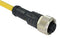 AMPHENOL LTW M12A-17BFFM-SL8B01 Sensor Cable, M12 Receptacle, Free End, 17 Positions, 1 m, 3.3 ft, M Series