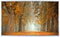 MULTICOMP PRO MP013339 TFT LCD, 18.5 ", 1920 x 1080 Pixels, Landscape, RGB, 12V