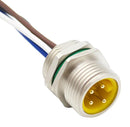 BULGIN LIMITED PXMBNI78FPM04AFL78001 Sensor Cable, 7/8" Plug, Free End, 4 Positions, 100 mm, 3.9 ", Buccaneer 7/8" Series