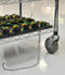 DESCO 14000 Drag Chain, 1 Mohm, Socket, Natural, 24"