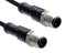 AMPHENOL LTW M12A05ML-12AML-SD001 Sensor Cable, A Code, Black, M12 Plug, M12 Plug, 5 Positions, 1 m, 3.3 ft, M Series