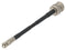 TE CONNECTIVITY 2479974-2 RF / Coaxial Cable Assembly, HD BNC Plug to BNC Plug, 2R3365 ST, 75 ohm, 3.3 ft, 1 m, Black