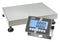 KERN IXC 100K-3L Industrial Balance Scale, Platform, IoT Line, Stainless Steel, 150 kg, 5 g Resolution, IXC Series