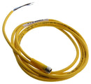 TURCK PKG 3M-2 Sensor Cable, Picofast, M8 Sensor Straight 3 Position Receptacle, Free End, 3 Positions, 2 m