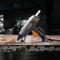 STEINEL 85360 Hot-Melt Glue Applicator, 11 mm Dia, 240 V, 45 W, Series 3