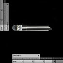 Tanotis - SparkFun LED - RGB Clear Common Cathode 5mm - 2
