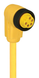 Lumberg Automation RKW50-877/4M Sensor Cord 7/8" RCPT-FREE END 13.1