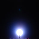 Tanotis - SparkFun LED - RGB Diffused Common Anode 5mm - 6