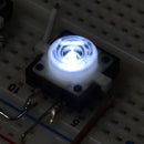 Tanotis - SparkFun LED Tactile Button- White Buttons/Switches - 4