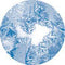 Rosco Standard Color Glass Spectrum Gobo #86633 Cyan Frosted (86mm = 3.4")