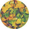 Rosco Standard Color Glass Spectrum Gobo #86635 Ginko (86mm = 3.4")