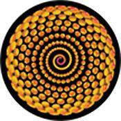 Rosco Standard Color Glass Spectrum Gobo