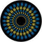 Rosco Standard Color Glass Spectrum Gobo #86651 Flower Focus (86mm = 3.4")