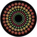 Rosco Standard Color Glass Spectrum Gobo