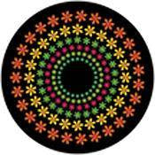 Rosco Standard Color Glass Spectrum Gobo