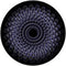 Rosco Standard Color Glass Spectrum Gobo #86652 Peacock Sprocket (86mm = 3.4")