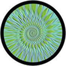 Rosco Standard Color Glass Spectrum Gobo