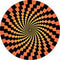Rosco Standard Color Glass Spectrum Gobo #86656 Harlequin Aperture (86mm = 3.4")
