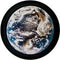 Rosco Standard Color Glass Spectrum Gobo #86668 Earth Sky (86mm = 3.4")