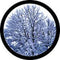 Rosco Standard Color Glass Spectrum Gobo #86684 Winter Solstice (86mm = 3.4")