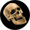 Rosco Standard Color Glass Spectrum Gobo #86686 Laughing Skull (86mm = 3.4")