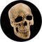 Rosco Standard Color Glass Spectrum Gobo #86687 Yorick Skull (86mm = 3.4")