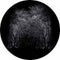 Rosco Standard Color Glass Spectrum Gobo #86698 Winter Arbor (86mm = 3.4")