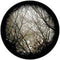 Rosco Standard Color Glass Spectrum Gobo #86702 Autumn Branches (86mm = 3.4")