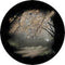 Rosco Standard Color Glass Spectrum Gobo #86703 Autumn Glade (86mm = 3.4")