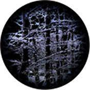 Rosco Standard Color Glass Spectrum Gobo
