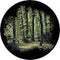 Rosco Standard Color Glass Spectrum Gobo #86701 Spring Glade (86mm = 3.4")