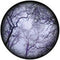Rosco Standard Color Glass Spectrum Gobo #86712 Cloud Branches (86mm = 3.4")