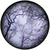 Rosco Standard Color Glass Spectrum Gobo