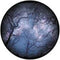 Rosco Standard Color Glass Spectrum Gobo #86713 Cloud Branches 2 (86mm = 3.4")