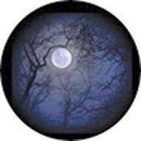 Rosco Standard Color Glass Spectrum Gobo