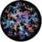 Rosco Standard Color Glass Spectrum Gobo #86727 Chromatic (86mm = 3.4")