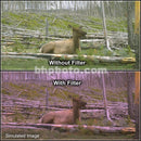 Tiffen 6.6 x 6.6" 1 Plum Hard-Edge Graduated Filter