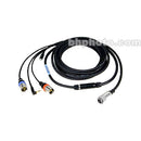 Remote Audio Betacam Breakaway Cable for Cooper CS-104 Field Mixer (Deluxe)