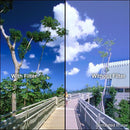 Tiffen 4 x 6" 85B Linear Polarizer Filter