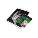 Print File Crystal Clear Bags (20 x 24", 100-Pack)
